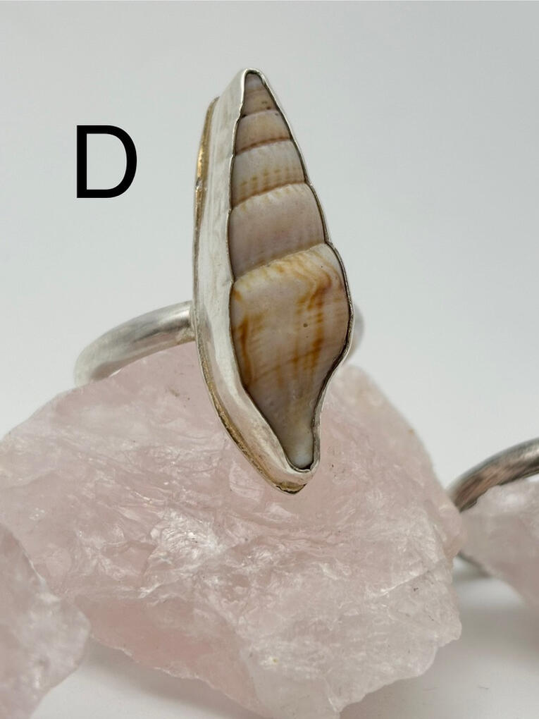 Sterling Silver Auger Seashell Ring